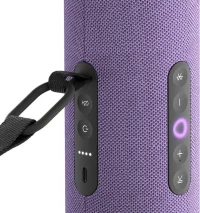 Boxa Smart Portabila Yandex Station Street / with Alisa / 30W / Violet 4