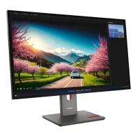 32" Lenovo ThinkVision P32UD-40, Black 9