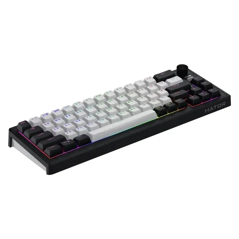 Keyboard HATOR Skyfall 65 MAG ULTIMA 8K, Wired / Wireless, Black | White 2