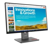 23,8" Monitor Lenovo P24QD-40, IPS 2560x1440 WQHD, Eclipse Black 5