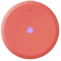 Smart Speakers Yandex Station Light 2 YNDX-00028ORG, Orange 2