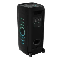 Audio System Hisense Party Thunder, Black 3