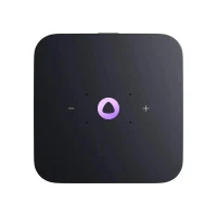 Smart Speakers Yandex Station Midi YNDX-00054, YandexGPT, Zigbee, Grey 4
