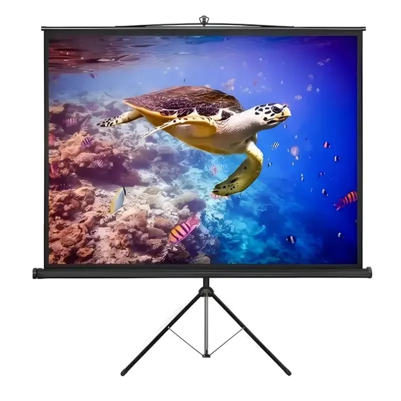 Manual Screen Reflecta Crystal-Line, 1:1 2