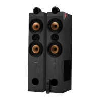 Audio System F&D T-70X, Black 6