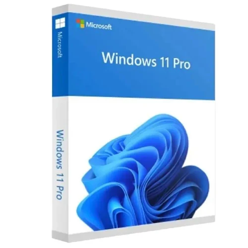 Operating System Windows PRO FPP 11 64BIT RU NOT TO RUSS