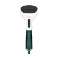 Manual steamer Tefal DT6131E0, White | Turquoise 2