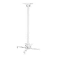 Ceiling Mount Reflecta VEXUS II, White