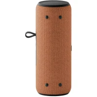 Smart Speakers Yandex Station Street, Orange