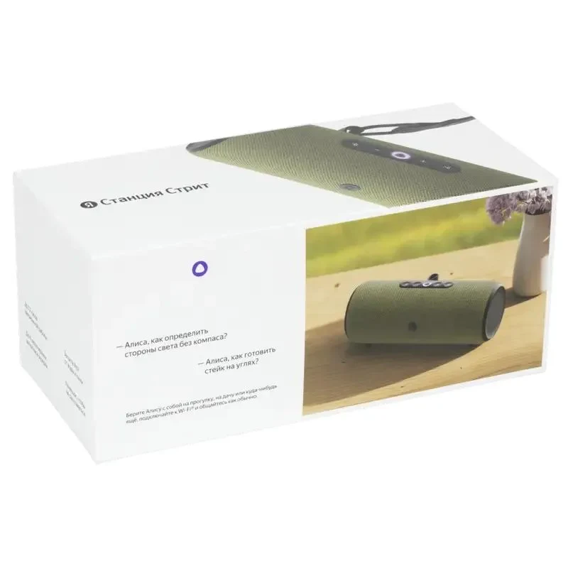 Smart Speakers Yandex Station Street, Green 6
