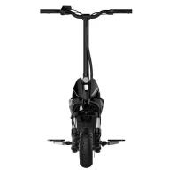ACER ELECTRICAL SCOOTER PREDATOR EXTREME, PES017, 25KM/HR (RETAIL PACK)