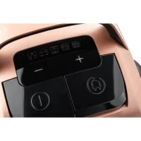 Vacuum Cleaner Gorenje VCE22G6HCO, Black | Gold 6