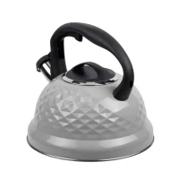 Kettle RESTO 90611, 2,7L, Grey 4