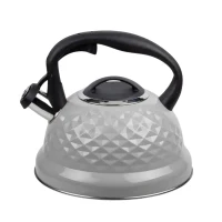 Kettle RESTO 90611, 2,7L, Grey 8
