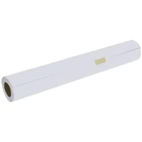 Paper Epson Premium Canvas Satin