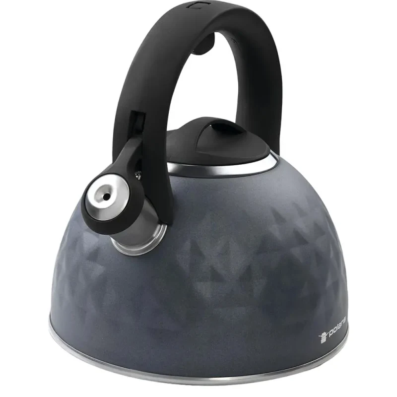 Kettle Polaris Kontur, 3L, Gray 5
