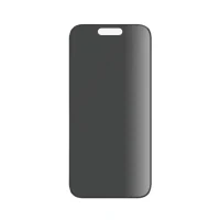 Screen Protector Glass PanzerGlass iPhone 15 UWF Privacy wA, Transparent 2