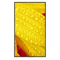 Display NEC MultiSync M651-2, 65", Black 15