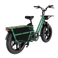 Electrical Bicycle Fiido T2, Green 2