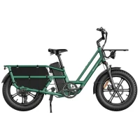 Electrical Bicycle Fiido T2, Green 3