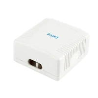 Socket for wall mounting Cablexpert NCAC-2F6-01, White