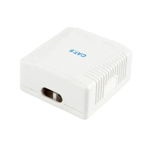 Socket for wall mounting Cablexpert NCAC-2F6-01, White
