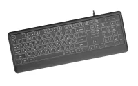 Gembird KB-UML-04-CYRL, Slim wired backlight keyboard, Professional slim key design, USB A+C combo plug, RU-layout, Black 2