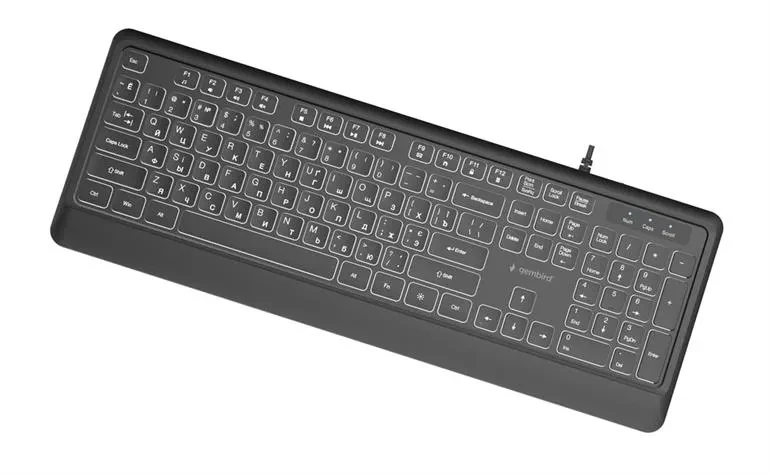 Gembird KB-UML-04-CYRL, Slim wired backlight keyboard, Professional slim key design, USB A+C combo plug, RU-layout, Black 3