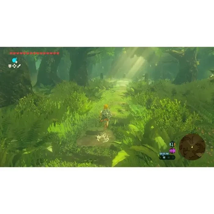 Nintendo The Legend of Zelda: Breath of the Wild, Action & Adventure, Nintendo Switch 2, Cartridge 4