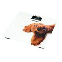 Electronic floor scales Zelmer ZBS1010, White 3