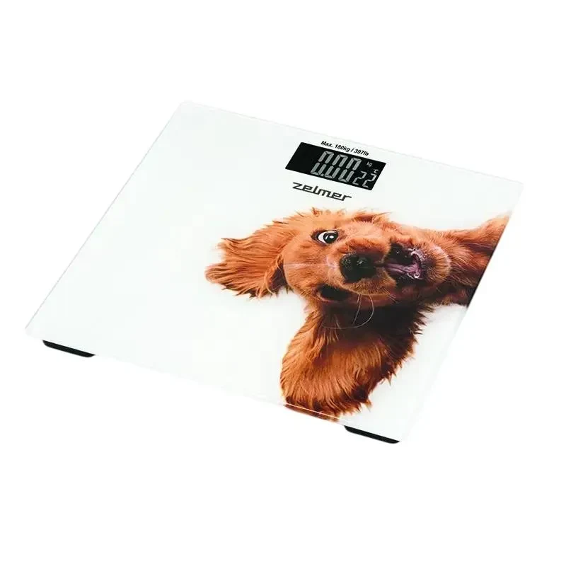 Electronic floor scales Zelmer ZBS1010, White 3