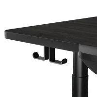 Gaming Desk Cougar E-Odyssey, Black 2