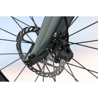 Electrical Bicycle Fiido AIR, Silver 4