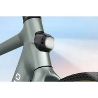 Electrical Bicycle Fiido AIR, Silver 6