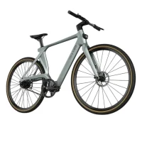 Electrical Bicycle Fiido AIR, Silver 16