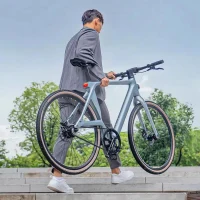Electrical Bicycle Fiido AIR, Silver 17