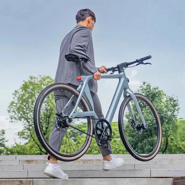 Electrical Bicycle Fiido AIR, Silver 17