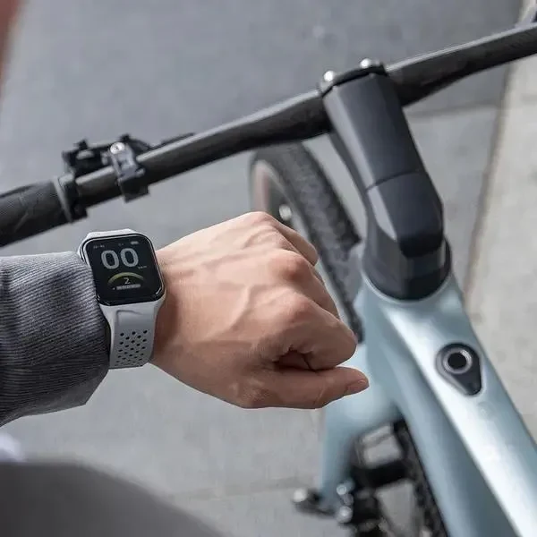 Electrical Bicycle Fiido AIR, Silver 2