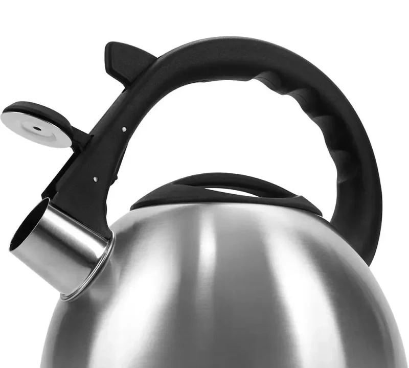 Kettle Polaris Verde, 2,2L, Silver 6