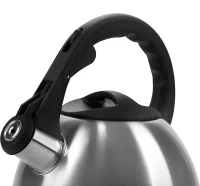 Kettle Polaris Verde, 2,2L, Silver 8