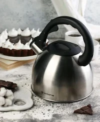 Kettle Polaris Verde, 2,2L, Silver 9