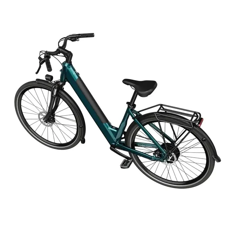 Electrical Bicycle Fiido C11, Blue 4
