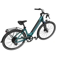Electrical Bicycle Fiido C11, Blue 5