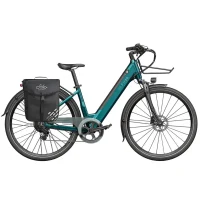 Electrical Bicycle Fiido C11, Blue 6