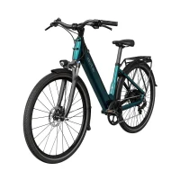 Electrical Bicycle Fiido C11, Blue 7