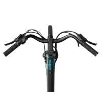 Electrical Bicycle Fiido C11, Blue 2