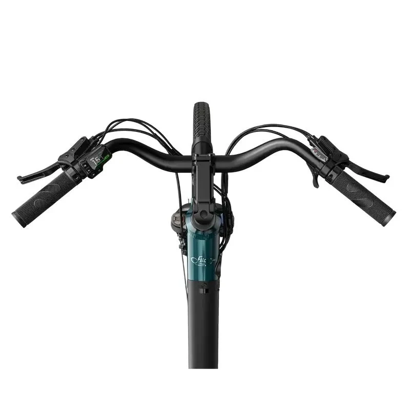 Electrical Bicycle Fiido C11, Blue 2