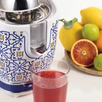Juicer Citrus Ariete 413 CAPRI 7